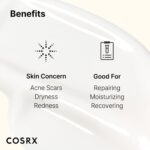 COSRX Advanced Snail 92 All in One Cream Korean Snail Mucin Face Cream & Gel Moisturiser for Dry Sensitive and Anti Aging Skin, Daily Soothing