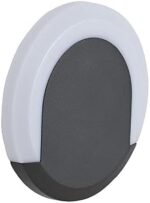 Biard Crescent Halo Eclipse Outdoor Garden Wall Light - A++ 13W Integrated LED Grey Wall Mounted Modern Lighting with Fixing Kit Included - IP54 Ideal for Garden, Porch, Drive, Patio, Front Door [Energy Class A++]