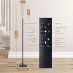 Remote control features and dimensions for LED floor lamp